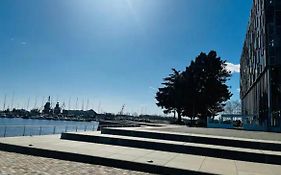 evasion dans l'enclos du port